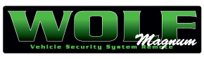 log_wm log_wm